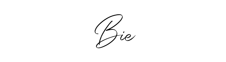 Daisyrain FREE  Free Fonts Download