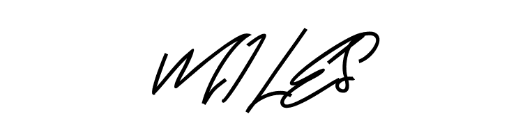 BrandHole FREE  Free Fonts Download