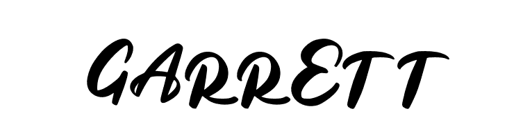 BagideFREE  Free Fonts Download