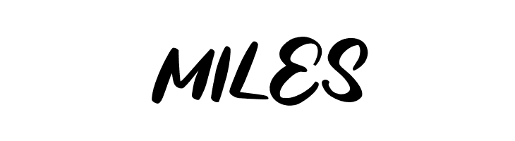 BagideFREE  Free Fonts Download