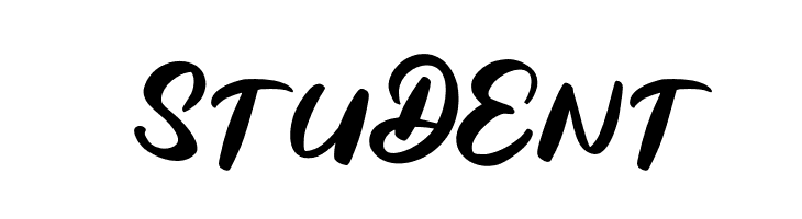 BagideFREE  Free Fonts Download