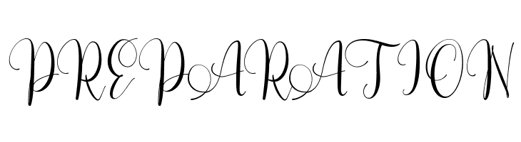 Berlynda FREE  Free Fonts Download