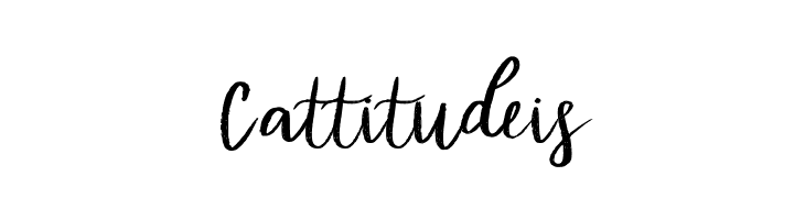 Diana Rough FREE  Free Fonts Download