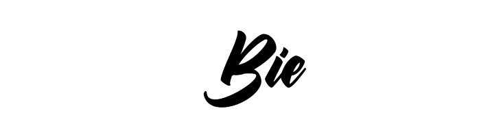 Brilyon Script FREE  Free Fonts Download