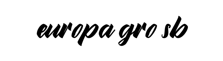Brilyon Script FREE  Free Fonts Download