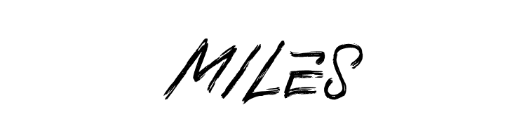 Braser FREE  Free Fonts Download