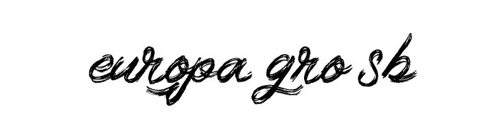 Braser FREE  Free Fonts Download