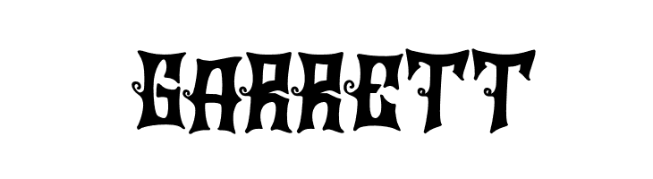 BraierFREE  Free Fonts Download