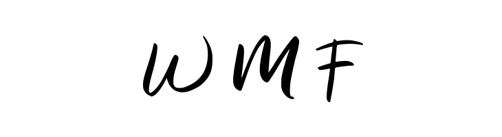 Enigma FREE  Free Fonts Download