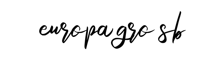 Enigma FREE  Free Fonts Download