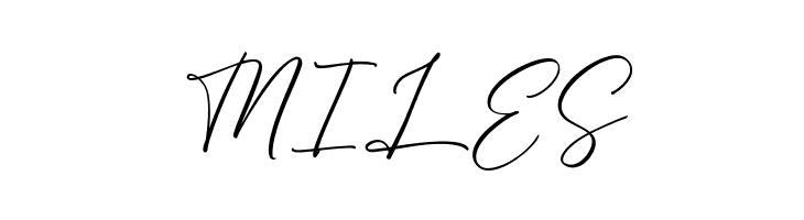 Bright Daily FREE  Free Fonts Download