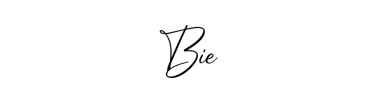 BrightDailyFREE  Free Fonts Download