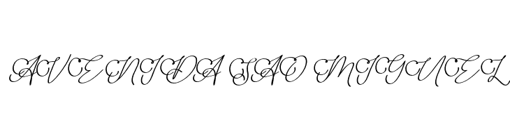 Adisty  Free Fonts Download