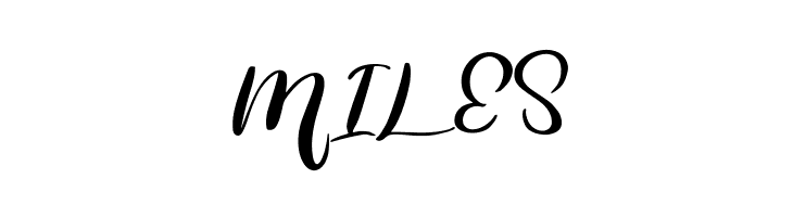 Hetbig FREE  Free Fonts Download