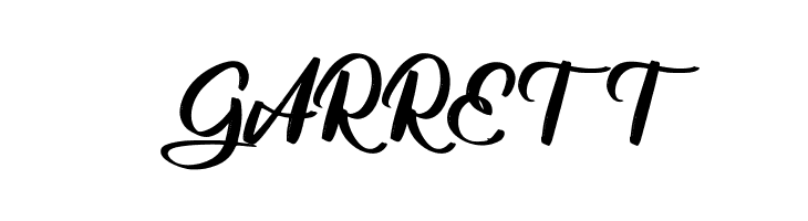 Adisone FREE  Free Fonts Download