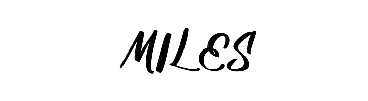 Adisone FREE  Free Fonts Download