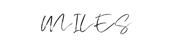 AtkinsonSignature  Free Fonts Download