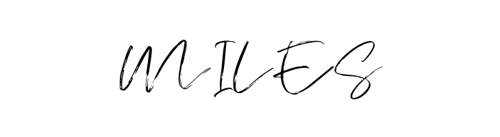Atkinson Signature  Free Fonts Download