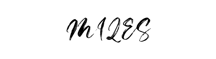 Beardies DEMO  Free Fonts Download