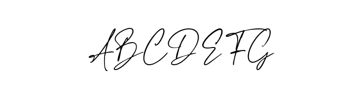 Haverink Script  Free Fonts Download