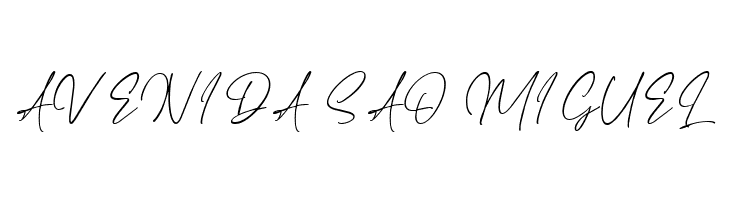 Haverink Script  Free Fonts Download