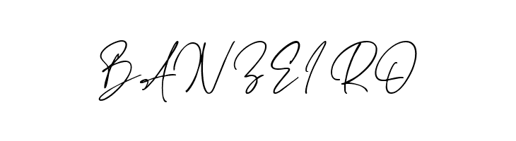 Haverink Script  Free Fonts Download