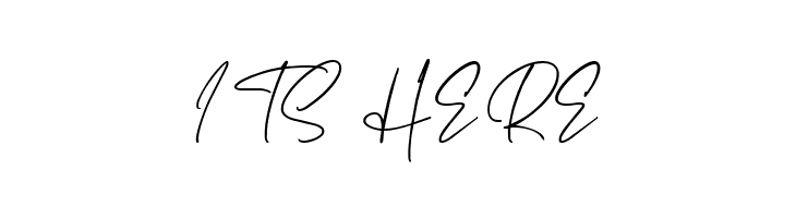 Haverink Script  Free Fonts Download