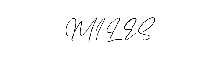 Haverink Script  Free Fonts Download