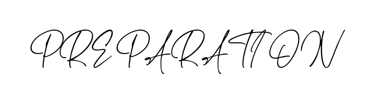 Haverink Script  Free Fonts Download