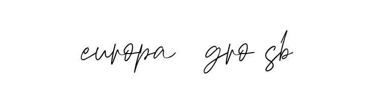 Haverink Script  Free Fonts Download