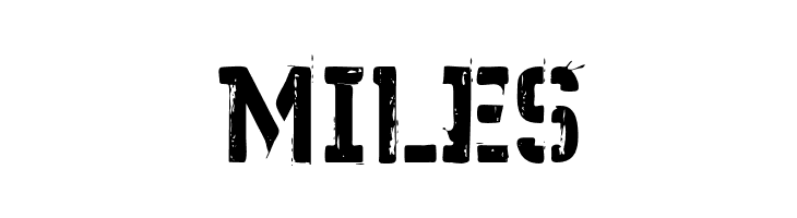 WCWunderbachPaintBta  Free Fonts Download