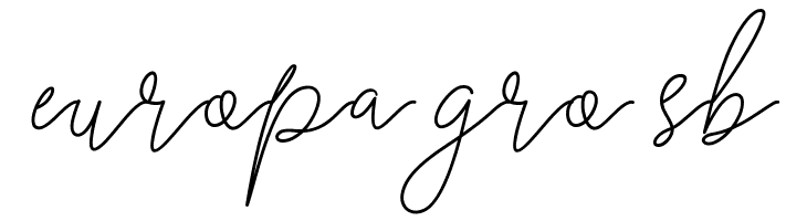 RanggaScript  Free Fonts Download
