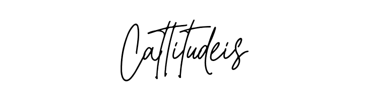 Christine Signature  Free Fonts Download