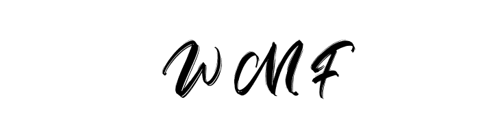 Anttisol  Free Fonts Download