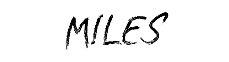 Pantara  Free Fonts Download