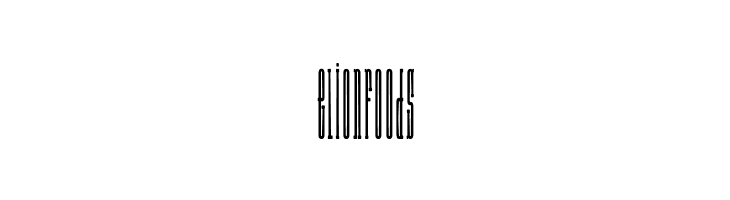 Long Rider  Free Fonts Download
