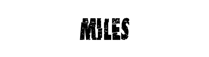 Garbage King  Free Fonts Download