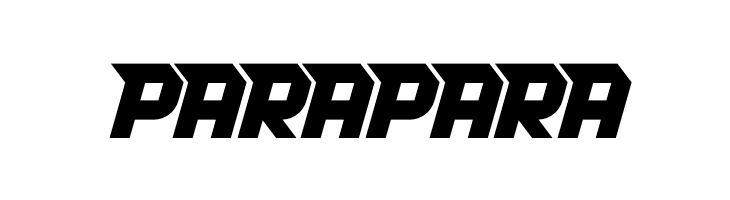 RACE SPACE REGULAR 1  Free Fonts Download