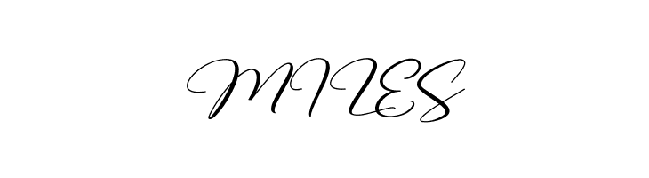 Battur demo  Free Fonts Download