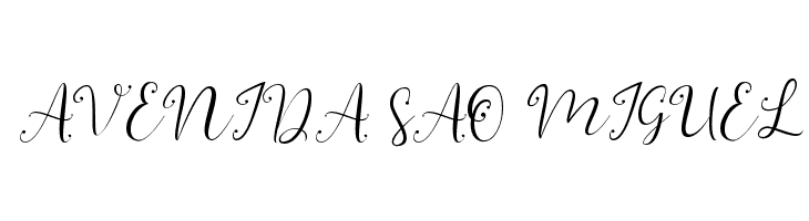 YonTypeStudio Co  Free Fonts Download