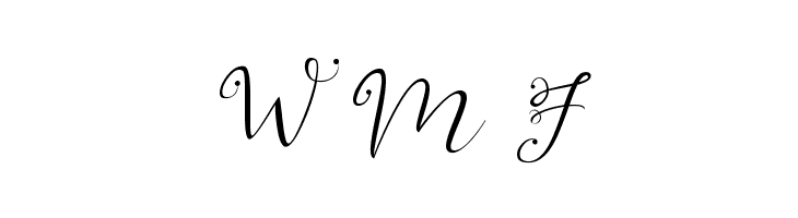 YonTypeStudio Co  Free Fonts Download