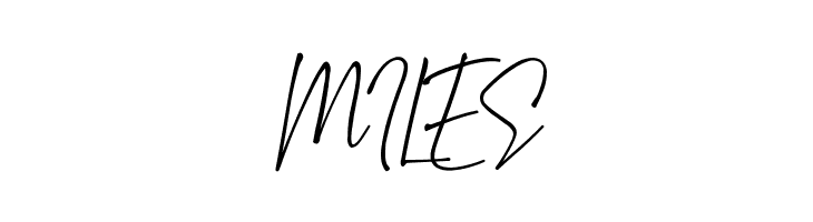 Amsterland  Free Fonts Download