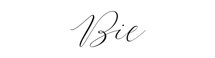 Bromo Plateau Script  Free Fonts Download