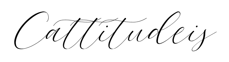 Bromo Plateau Script  Free Fonts Download