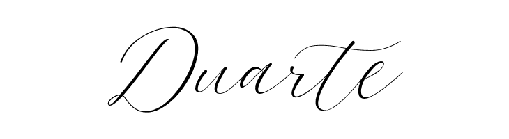 Bromo Plateau Script  Free Fonts Download