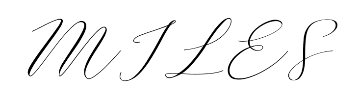 Bromo Plateau Script  Free Fonts Download