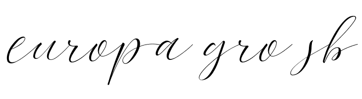 Bromo Plateau Script  Free Fonts Download