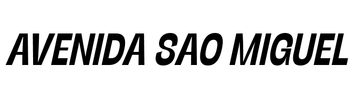 Stinger Slim Trial Bold Italic  Free Fonts Download