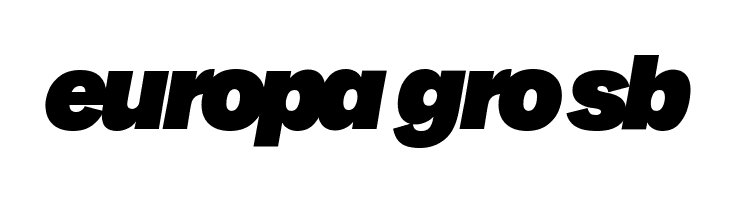 Milligram Macro Trial Heavy Italic  Free Fonts Download