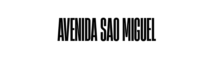 Heading Now Trial 16 Bold  Free Fonts Download